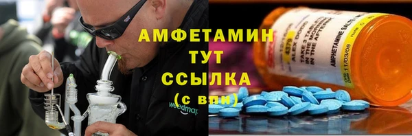 молекула духа Арсеньев