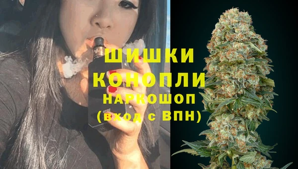 молекула духа Арсеньев