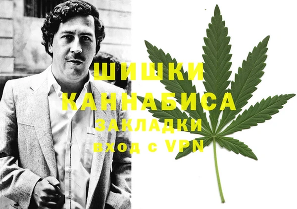 PSILOCYBIN Алексин