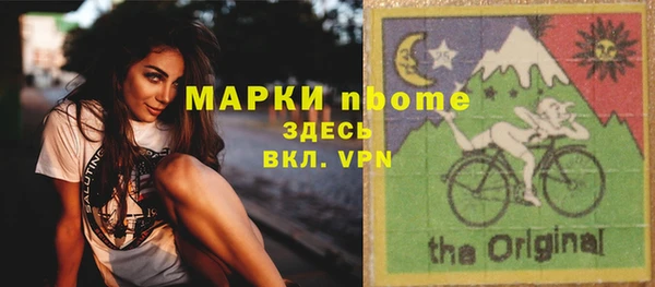 молекула духа Арсеньев