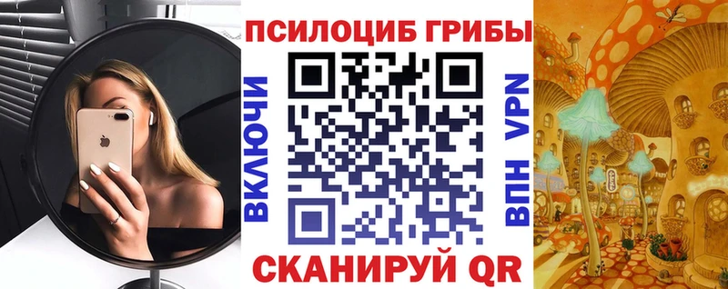 купить наркотик Тамбов Псилоцибиновые грибы мицелий